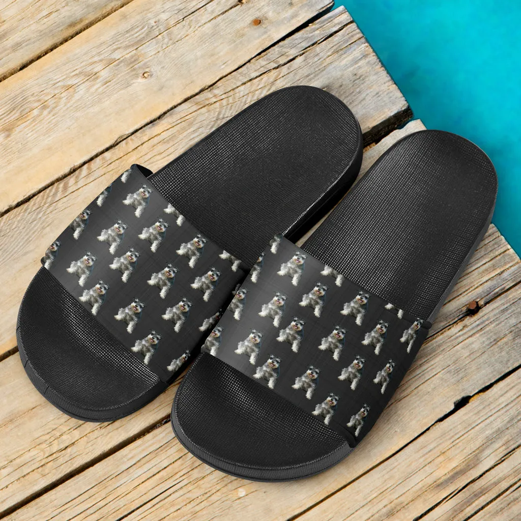 Schnauzer Slides